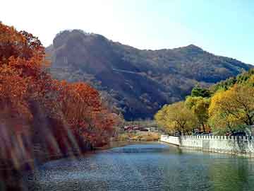 攀枝花市地方税务局推动税务现代化，助力地方经济发展新项目建设